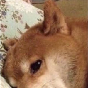 Meet your Posher, Abraham